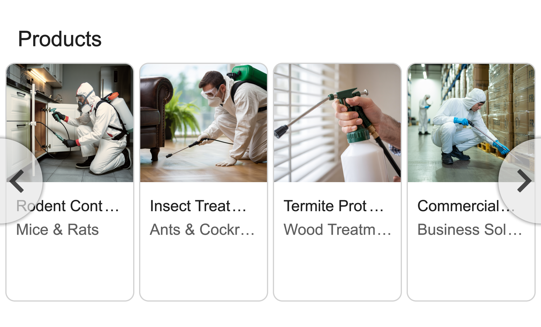 Optimized Google Business Profile products section for Texas pest control service featuring treatment packages and pricing